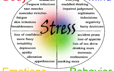 Eliminating Stress from your life