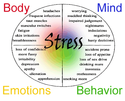 Eliminating Stress from your life